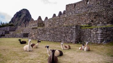 Ontdek Peru met het hele gezin: 5 onvergetelijke avonturen