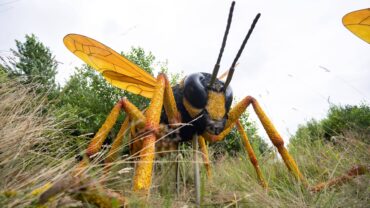 ZooParc Overloon zet kleine beestjes groots neer ZooParc Overloon zet kleine beestjes groots neer