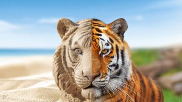 AquaZoo Leeuwarden vol zandsculpturen deze lente