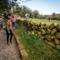 ‘Dry Stone Walls’ in Ierland zijn nu UNESCO Erfgoed