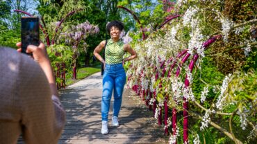 Zo maakt Trompenburg Tuinen & Arboretum Rotterdam een stukje groener