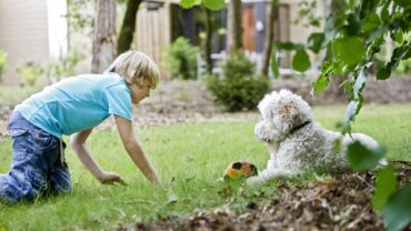 Nieuw bij Center Parcs: vakantiewoning speciaal voor hondeneigenaren