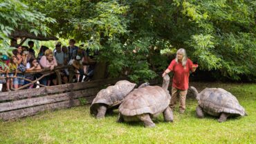 Budgetproof op vakantie naar Tsjechië, dit zijn de tips