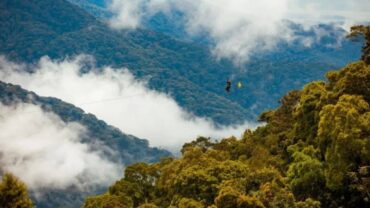 Langste zipline van Oost-Afrika geopend in Nyungwe Langste zipline van Oost-Afrika geopend in Nyungwe