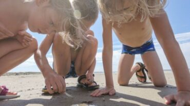 Zomer in eigen land: koelte, kastelen en kliederen in de modder