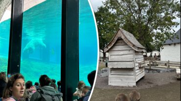 Europese erkenning voor Pairi Daiza als beste dierentuin en vakantiepark