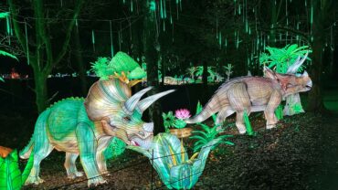 Beekse Bergen zet veertien tijdperken in het licht