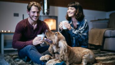 Landal houdt zelf toezicht op en rond vuurwerkvrije parken in Nederland