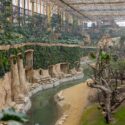 Pairi Daiza lanceert Edenya met onderwaterkamers en tropische dieren Pairi Daiza lanceert Edenya met onderwaterkamers en tropische dieren
