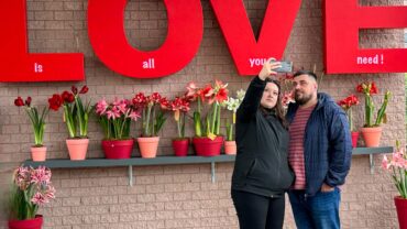 Keukenhof stijgt naar top 10 populairste dagattracties Keukenhof stijgt naar top 10 populairste dagattracties