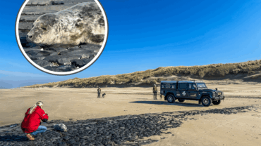 Het grote geheim van Groet: een gigantische ‘achtertuin’ waar je in kunt (ver)dwalen