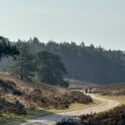 Natuurmonumenten tipt de mooiste uitjes nu de lente zich aandient
