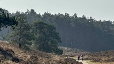 Natuurmonumenten tipt de mooiste uitjes nu de lente zich aandient