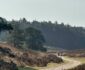 Natuurmonumenten tipt de mooiste uitjes nu de lente zich aandient
