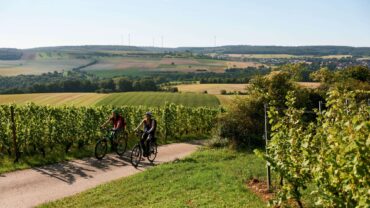Fietsen en wandelen in het Taubertal, met wijn als rode draad