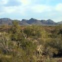 Drie opmerkelijke campings Drie opmerkelijke campings