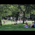 Ontsnap aan de drukte van New York in Central Park Ontsnap aan de drukte van New York in Central Park