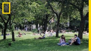 Ontsnap aan de drukte van New York in Central Park