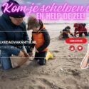 Video | Kom je schelpen tellen? & De festivals van 2024