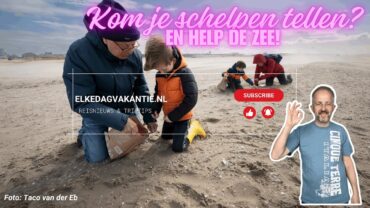Video | Kom je schelpen tellen? & De festivals van 2024
