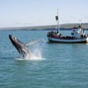 Dit zijn de 5 populairste excursies in Noord-Europa Dit zijn de 5 populairste excursies in Noord-Europa