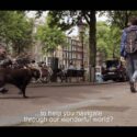 Wandelschoen die zelf de weg wijst Wandelschoen die zelf de weg wijst