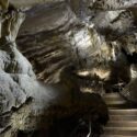 Op adem komen tussen bizons, beren en in eeuwenoude grotten Op adem komen tussen bizons, beren en in eeuwenoude grotten