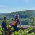 Van wijnhellingen tot bergpaden, dit biedt Saksen-Anhalt Van wijnhellingen tot bergpaden, dit biedt Saksen-Anhalt