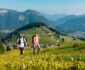Meerdaags wandelen zonder koffers sjouwen in de Wilder Kaiser Meerdaags wandelen zonder koffers sjouwen in de Wilder Kaiser
