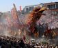 Niet zelf naar het bloemencorso? Dan kijk je er toch gewoon op tv!
