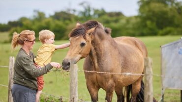 Van lichtshow tot boerderijvakantie: vijf opvallende reisontwikkelingen