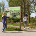 Van educatie tot herintroductie: hoe moderne dierentuinen de natuur redden Van educatie tot herintroductie: hoe moderne dierentuinen de natuur redden