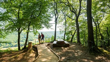 De Eifel – van oorlogsgebied naar een landschap dat mensen verbindt