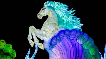 Light Nights in Ouwehands Dierenpark draait dit jaar om Magical Creatures