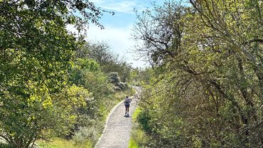 Vanuit de duinen loop je zo langs het Koninklijk Paleis Den Haag binnen