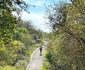 Vanuit de duinen loop je zo langs het Koninklijk Paleis Den Haag binnen Vanuit de duinen loop je zo langs het Koninklijk Paleis Den Haag binnen